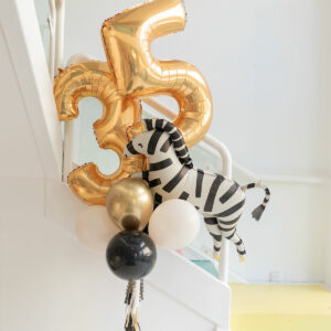 RAMO CEBRA DOS NÚMEROS